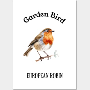 Garden Bird European Robin Posters and Art